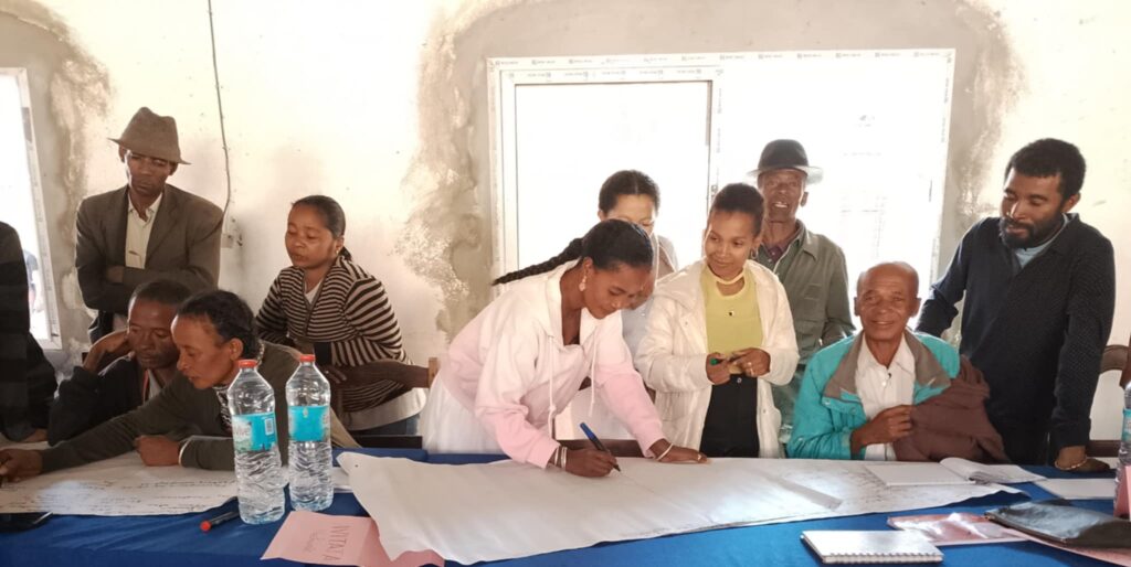 whatsapp image 2025 07 11 at 14.28.42